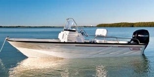 2015 Boston Whaler Montauk® 150