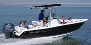 2015 Sea Hunt Triton 210