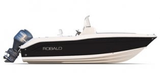 2016 Robalo Center Console R200