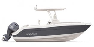 2016 Robalo Center Console R222
