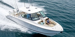 2019 Pursuit DC 295