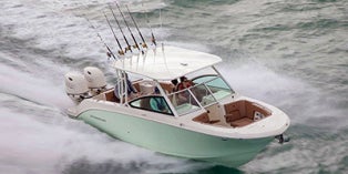 2020 Stingray DC 269